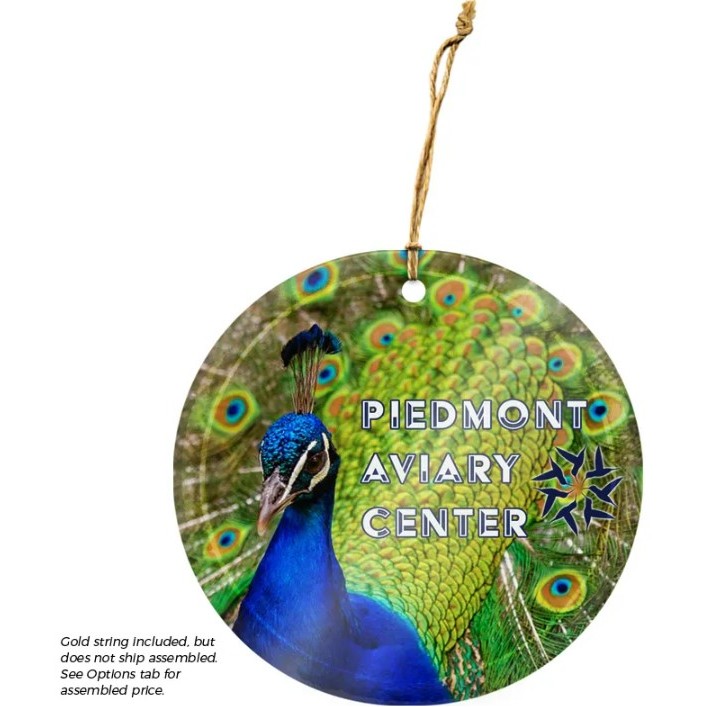 Round OrnamentSuncatcher